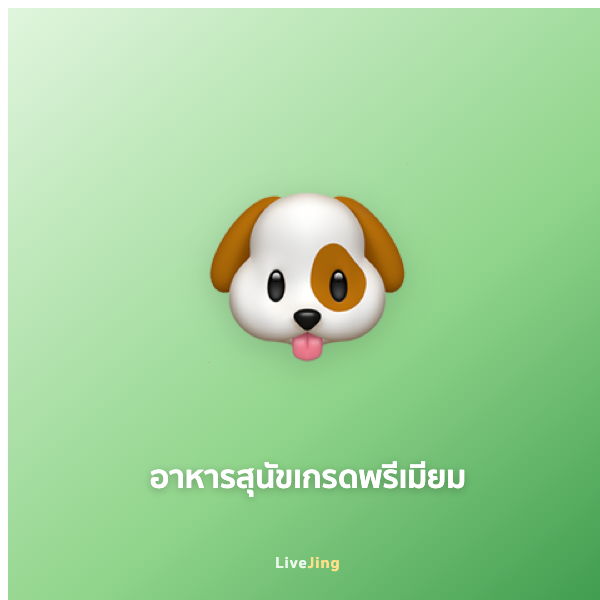 อาหารสุนัขเกรดพรีเมียม