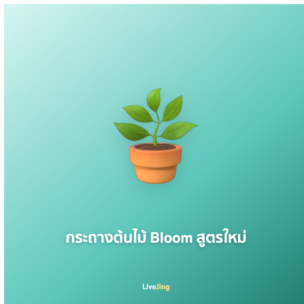 กระถางต้นไม้ Bloom สูตรใหม่