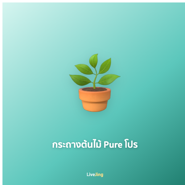 กระถางต้นไม้ Pure โปร