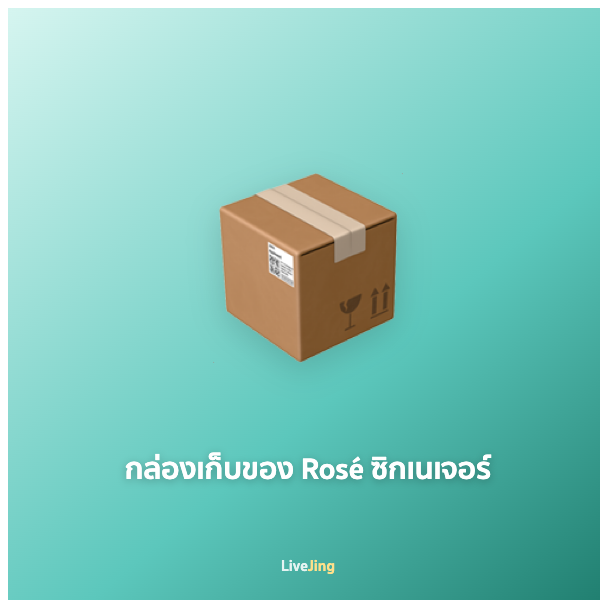 กล่องเก็บของ Rosé ซิกเนเจอร์