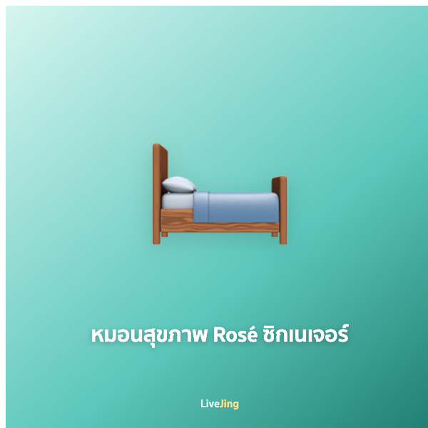 หมอนสุขภาพ Rosé ซิกเนเจอร์