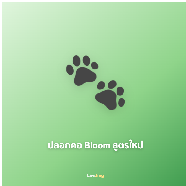 ปลอกคอ Bloom สูตรใหม่