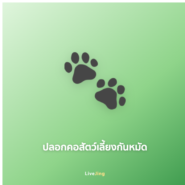 ปลอกคอสัตว์เลี้ยงกันหมัด