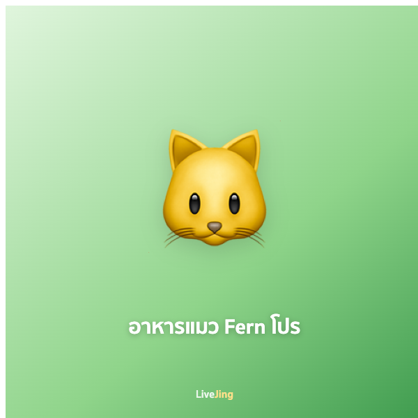อาหารแมว Fern โปร