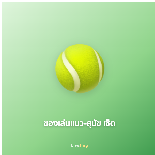 ของเล่นแมว-สุนัข เซ็ต