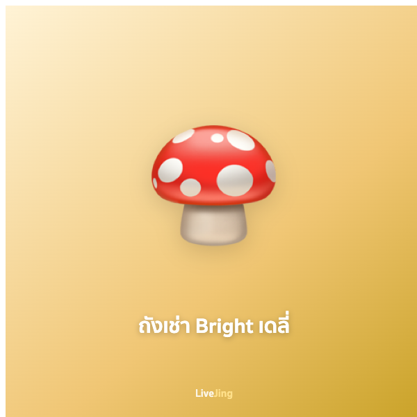 ถังเช่า Bright เดลี่