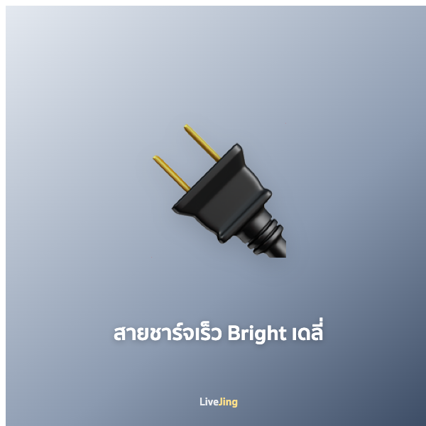สายชาร์จเร็ว Bright เดลี่