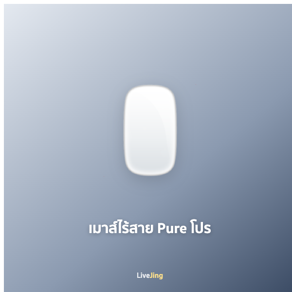 เมาส์ไร้สาย Pure โปร